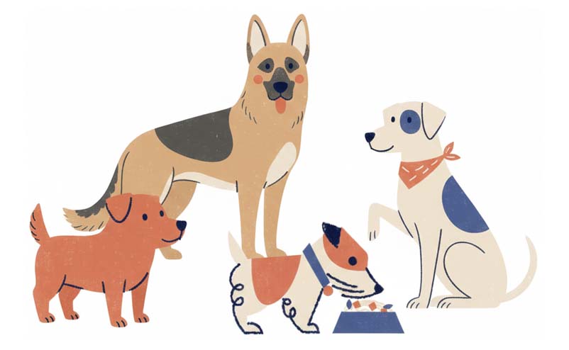 Dogs illustration