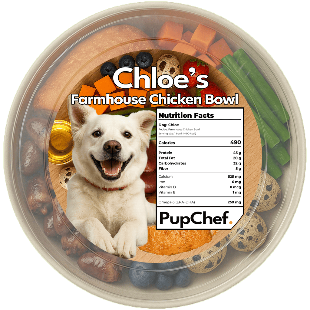 PupChef bowl with label